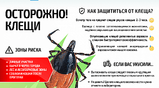 Осторожно! Клещи!